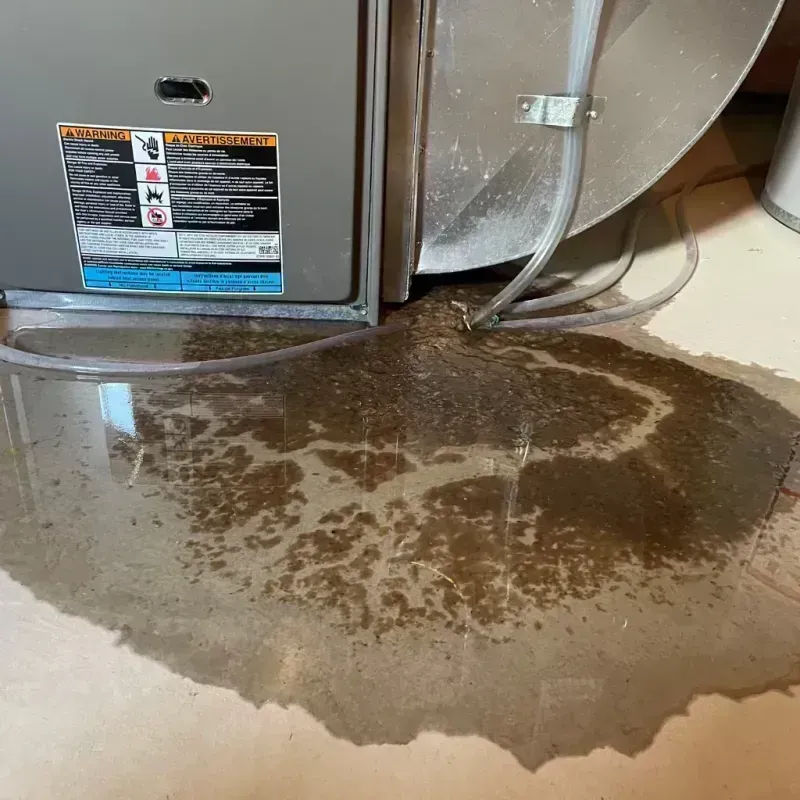 Appliance Leak Cleanup in Wauchula, FL